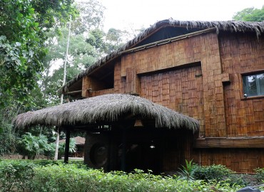 foto de la galeria