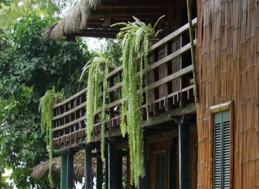 foto de la galeria